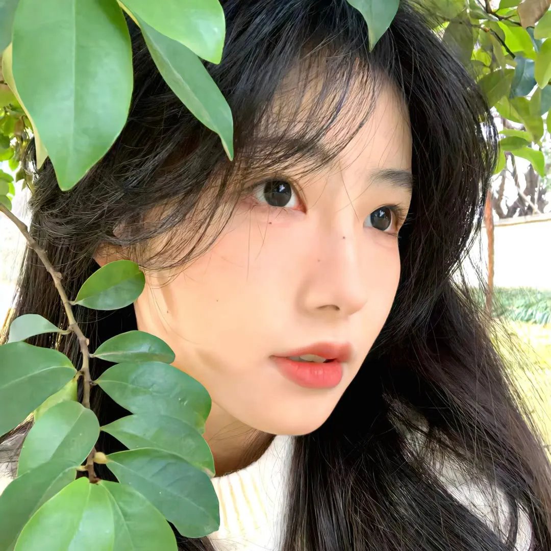宝米恰恰