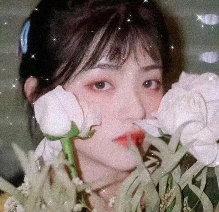 小姑娘艾萝依